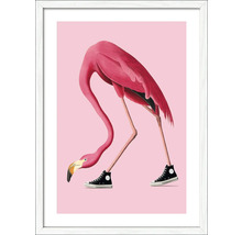 Imagine înrămată cu un flamingo care poartă adidași