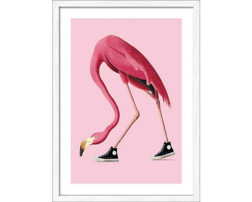 Tablou înrămat Flamingo With Sneakers 53x73 cm