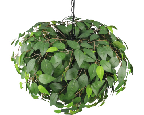 Plantă suspendată cu frunze verzi pe un lanț