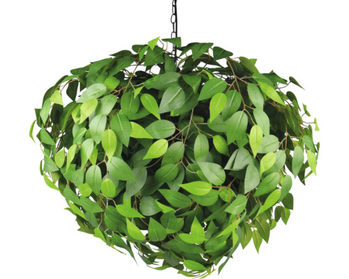 Plantă suspendată cu frunze verzi pe un lanț