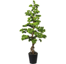 Plantă artificială Bonsai Kiefer în ghiveci H 140 cm verde