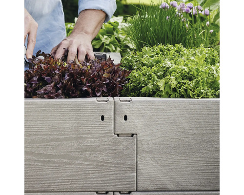 Persoană care plantează salată și ceapă verde într-un strat înălțat