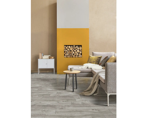 Cameră de zi cu canapea, măsuță laterală, lemne de foc și podea din lemn