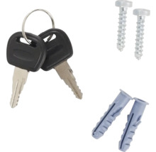 Două chei pe un breloc, două șuruburi și două dibluri.