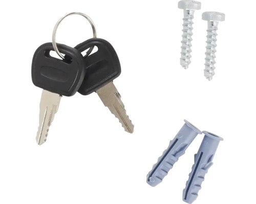 Două chei pe un breloc, două șuruburi și două dibluri.