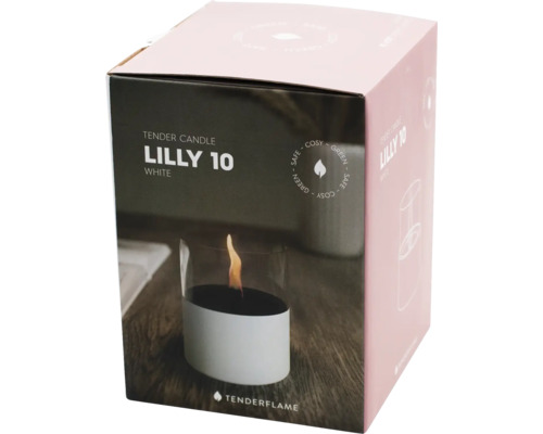 Ambalaj șemineu de masă Tenderflame Lilly 10