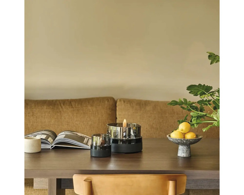 Masa decorativă cu arzător pe bioetanol, carte, bol cu lămâi și plantă de interior.