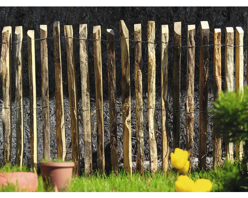 Gard rulou rustic lemn natural 125-130x200 cm Gard din lemn în grădină cu stâlpi decorativi