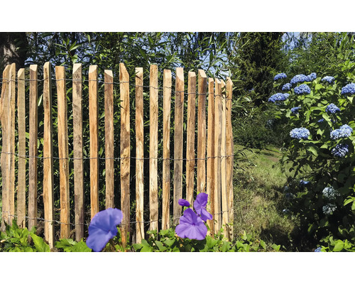 Gard din lemn cu stâlpi ascuțiți în grădină