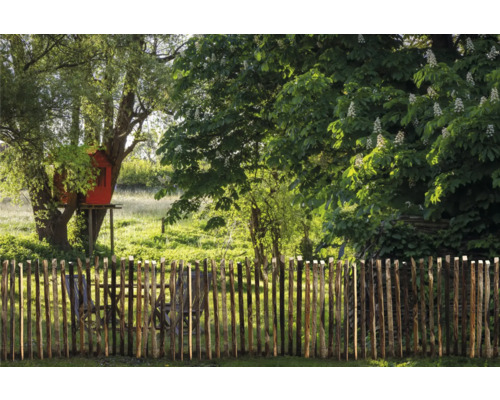 Vedere spre grădină cu gard din lemn și casă în copac