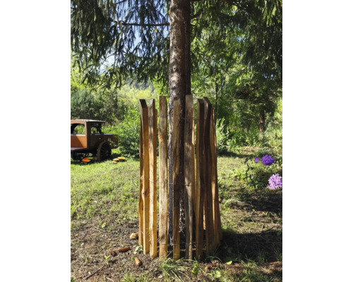 Protecție din lemn pentru copac în jurul unui trunchi de copac în grădină.