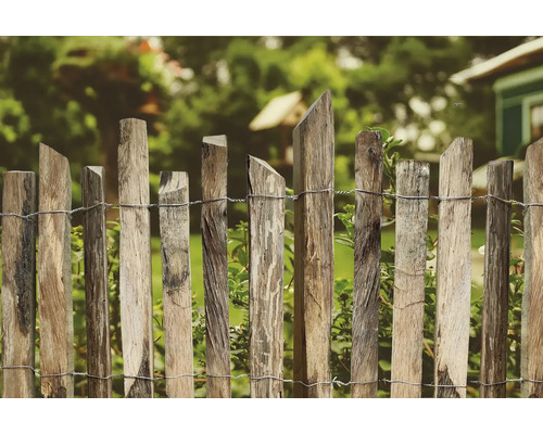 Gard din lemn cu scânduri neregulate în grădină