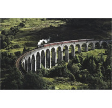 Tren care circulă pe un viaduct într-un peisaj deluros.