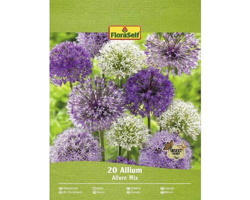 Pachet cu 20 de bulbi de Allium Allure Mix