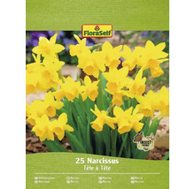 Pachet de narcise din soiul Tête à Tête cu sigiliul Insect Friendly