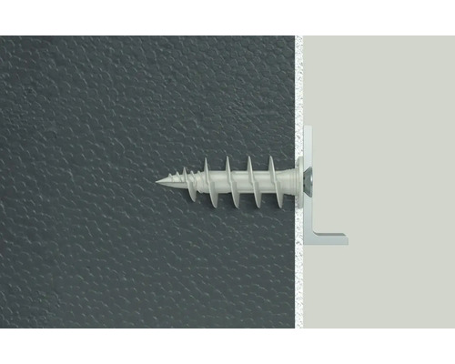 Diblu din plastic cu șurub în perete