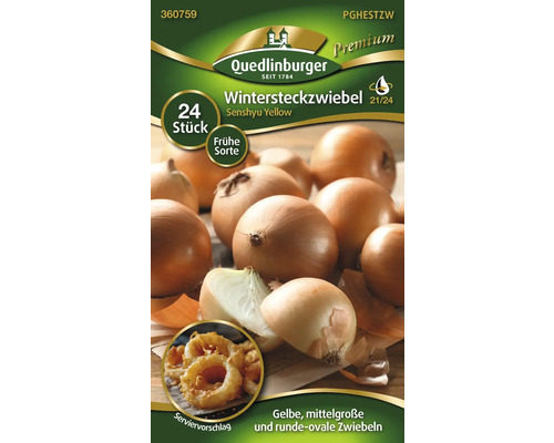 Ceapă de iarnă din soiul Senshyu Yellow de la Quedlinburger, 24 bucăți