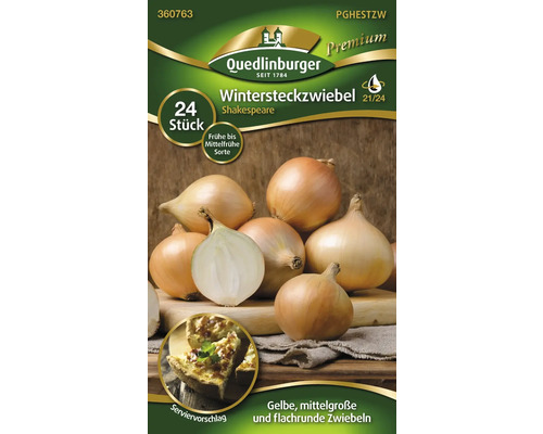 Arpagic de iarnă, soiul Shakespeare, 24 bucăți