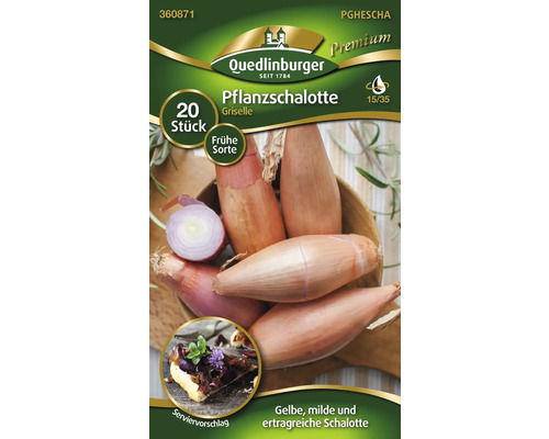 Ambalaj ceapă eșalotă de plantat soiul Griselle cu 20 bucăți