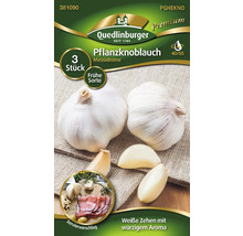 Usturoi de plantat Messidrome, 3 bucăți, soi timpuriu