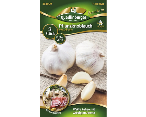 Usturoi de plantat Messidrome, 3 bucăți, soi timpuriu