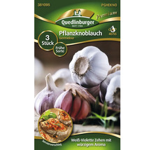 Semințe de usturoi Germidour, 3 bucăți