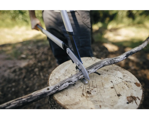 O persoană taie o ramură cu o foarfecă de grădină pe un butuc de copac