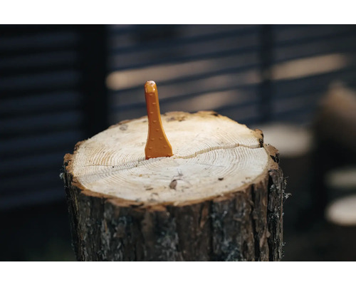 Pană pentru despicat lemne pe butuc