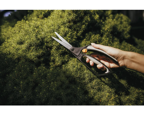 Grădinărit cu o foarfecă de grădinărit pe o plantă