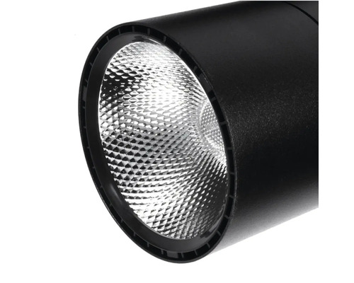 光束夜/浦邊雅祥　The Dark Spot Spot cu LED integrat Alfa 20W 1400 lumeni, negru, pentru | HORNBACH