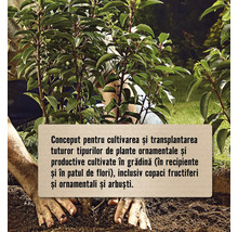 O persoană plantează plante ornamentale în grădină.