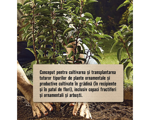 O persoană plantează plante ornamentale în grădină.