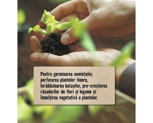 Mâini ținând o plantă tânără cu pământ, text despre germinarea semințelor, plantarea răsadurilor tinere, înrădăcinarea butașilor, pre-creșterea răsadurilor de flori și legume și înmulțirea vegetativă a plantelor