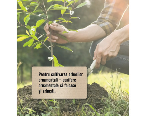 O persoană plantează un puiet de copac cu o lopată.