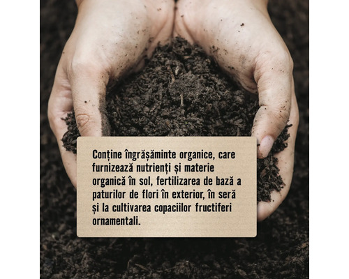 Mâini care țin pământ cu informații despre utilizarea ca îngrășământ pentru flori