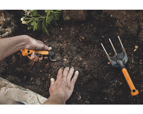 Scenă de grădină cu mâini, lopată mică și greblă de grădină pe pământ