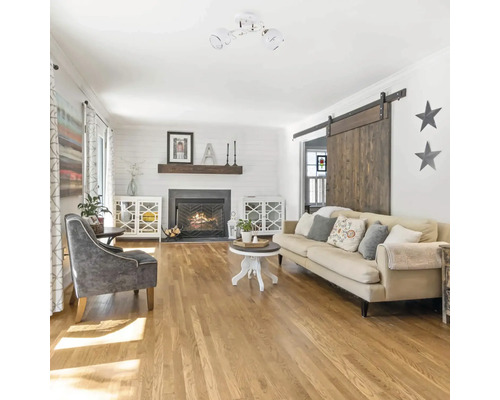 Living cu șemineu, canapea, podea din lemn și plafonieră