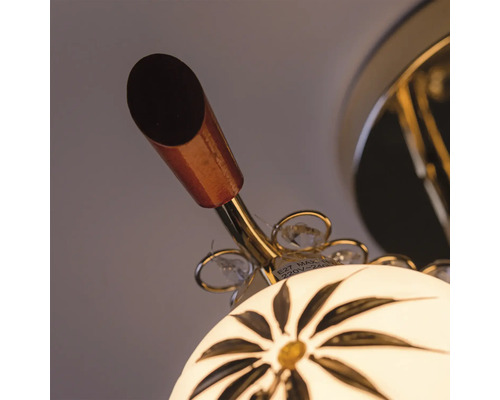 Imagine detaliată cu o lampă de tavan cu motiv floral