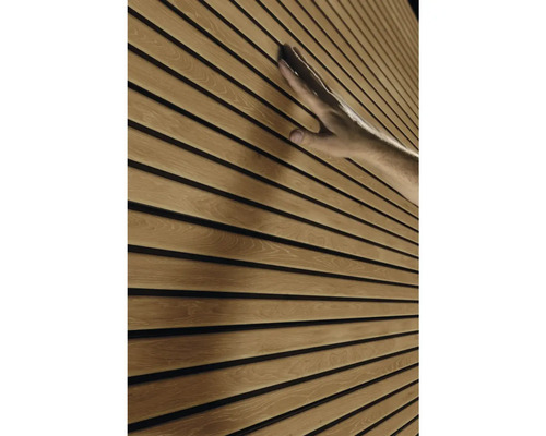 Panou de perete din lemn cu mână umană