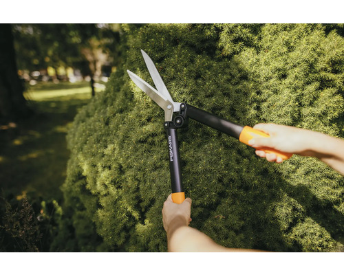 O persoană taie un gard viu în grădină cu un foarfece de gard viu. Marca: Fiskars.