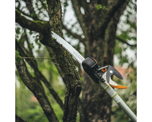 Un tăietor de ramuri taie o ramură de copac