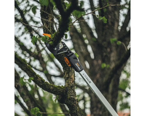 Foarfece de crengi taie o creangă