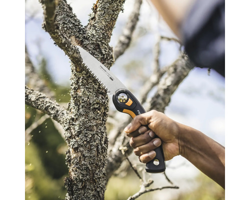 Tăierea ramurilor cu un ferăstrău de ramuri