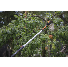 Recoltarea merelor cu un culegător de fructe în grădină
