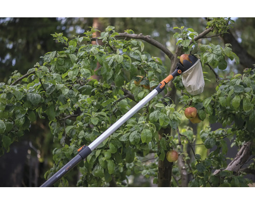 Recoltarea merelor cu un culegător de fructe în grădină
