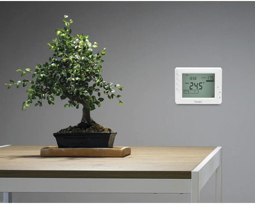 Scenă cu un bonsai pe o masă de lemn și un termostat de cameră pe perete.