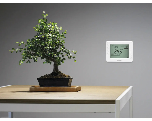 Termostat digital de cameră pe perete lângă bonsai pe masă