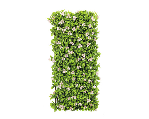 Perete artificial cu plante și flori