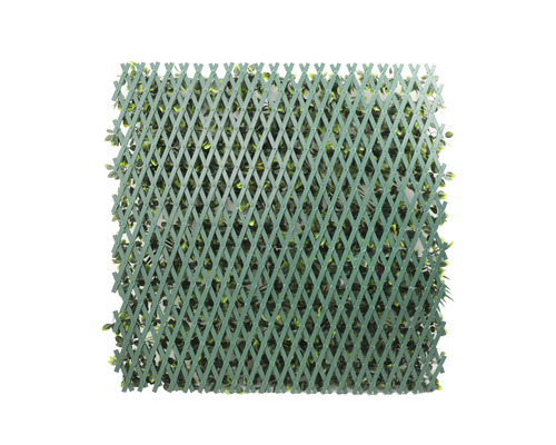 Zăbrele extensibile cu frunziș pentru grădină