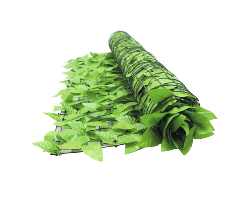 Gard rulou cu frunze verzi pe grilaj